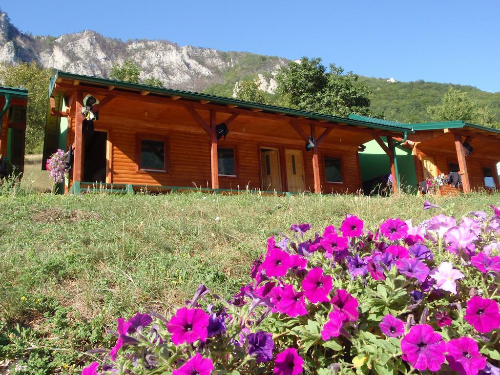 Hotel Rafting Camp Green Tara à Scepan-Polje Extérieur photo